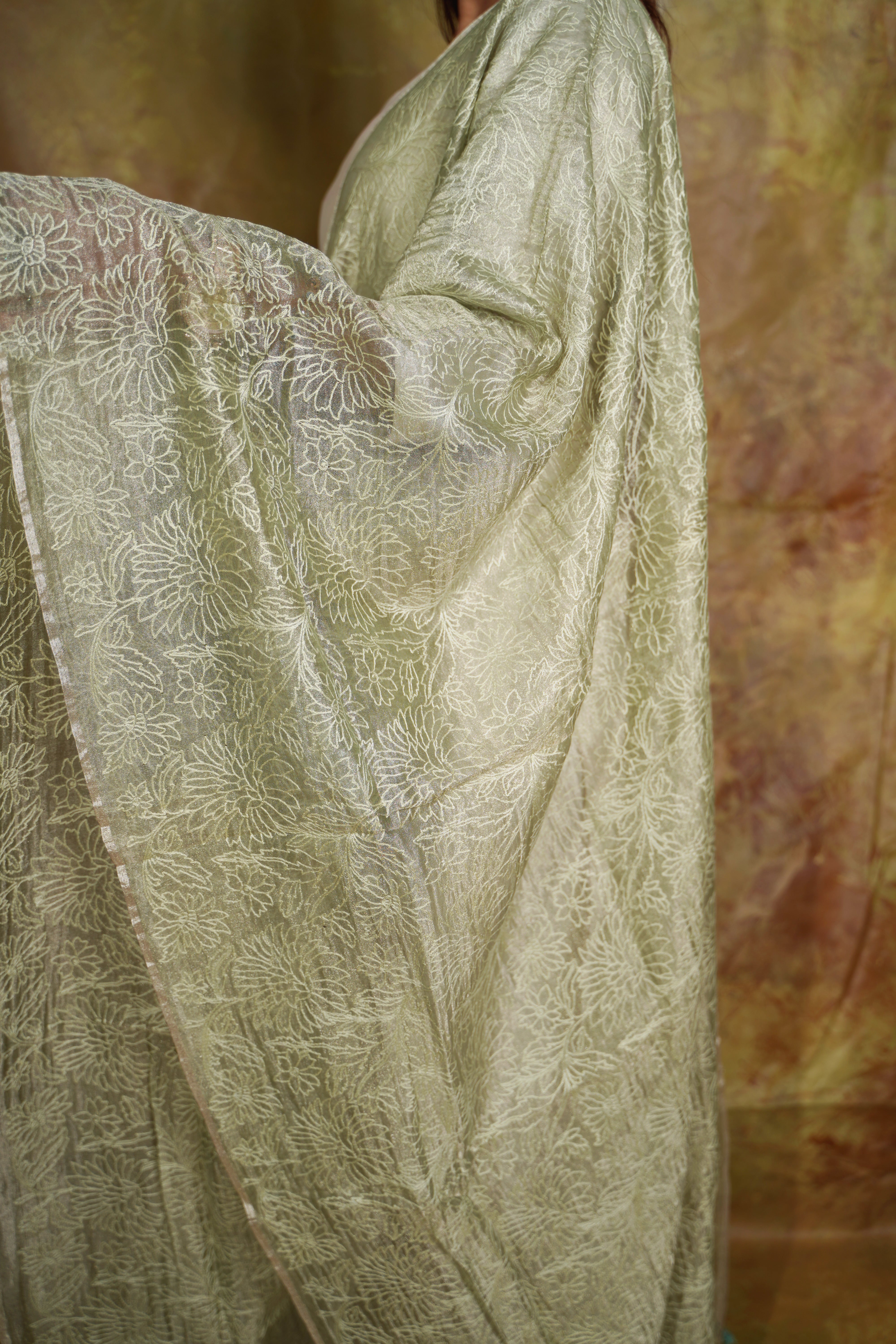 Banarasi Tissue Dupatta (Pastel Green)