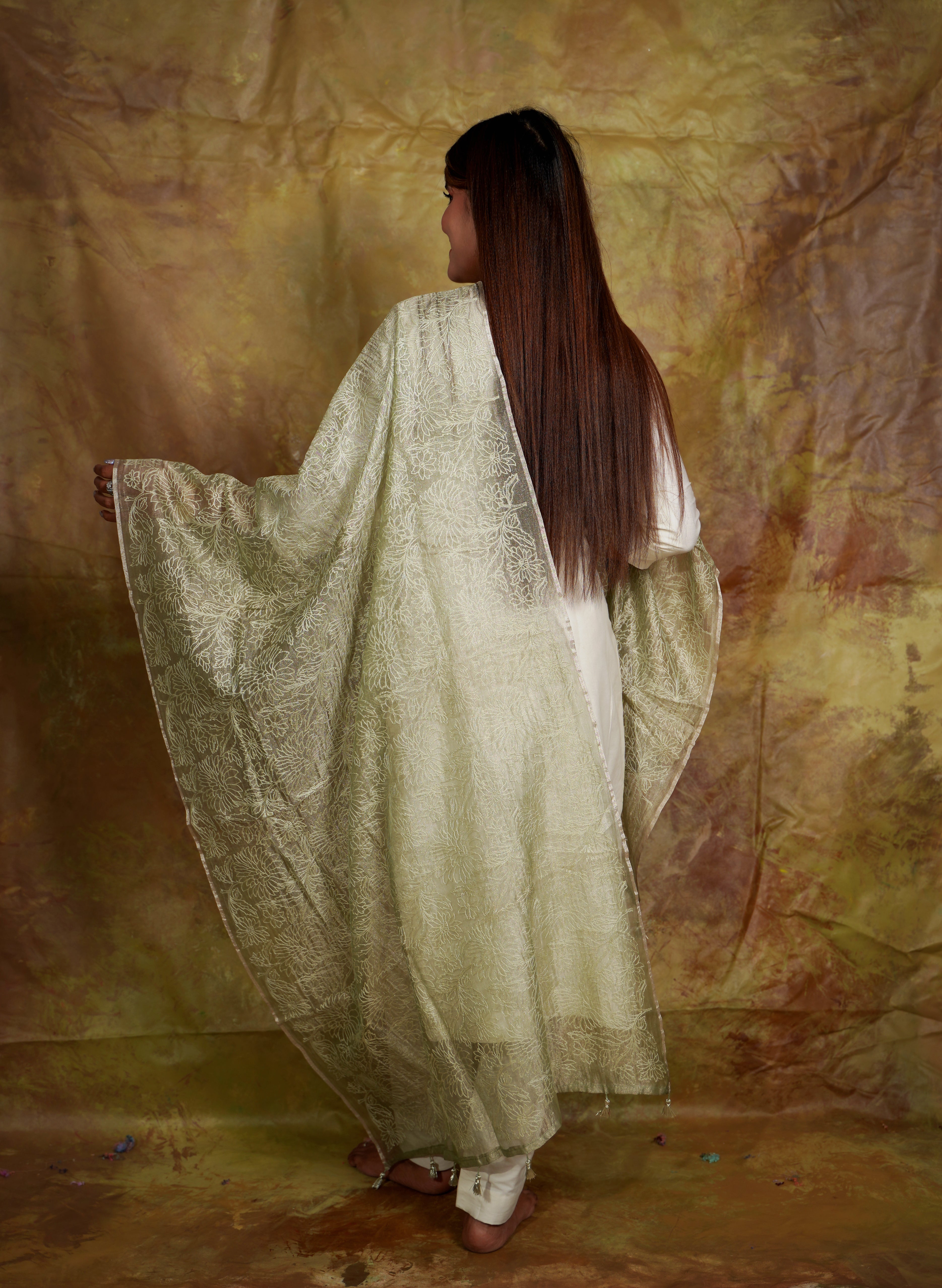Banarasi Tissue Dupatta (Pastel Green)